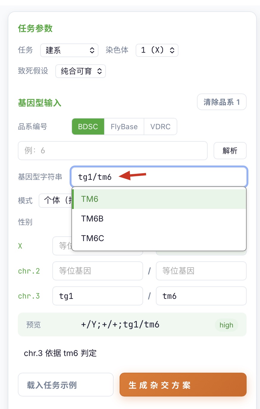 实时候选下拉示例:输入 tm6